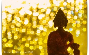 Đi trên con đường của Phật pháp